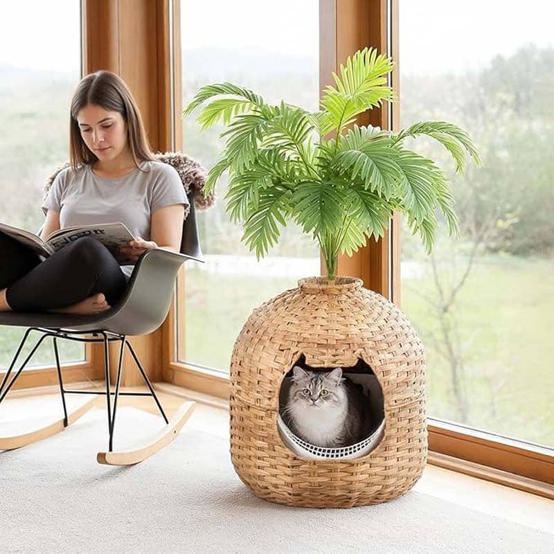 hoobro-meuble-liti-re-chat-rotin-naturel-avec-plante image 2