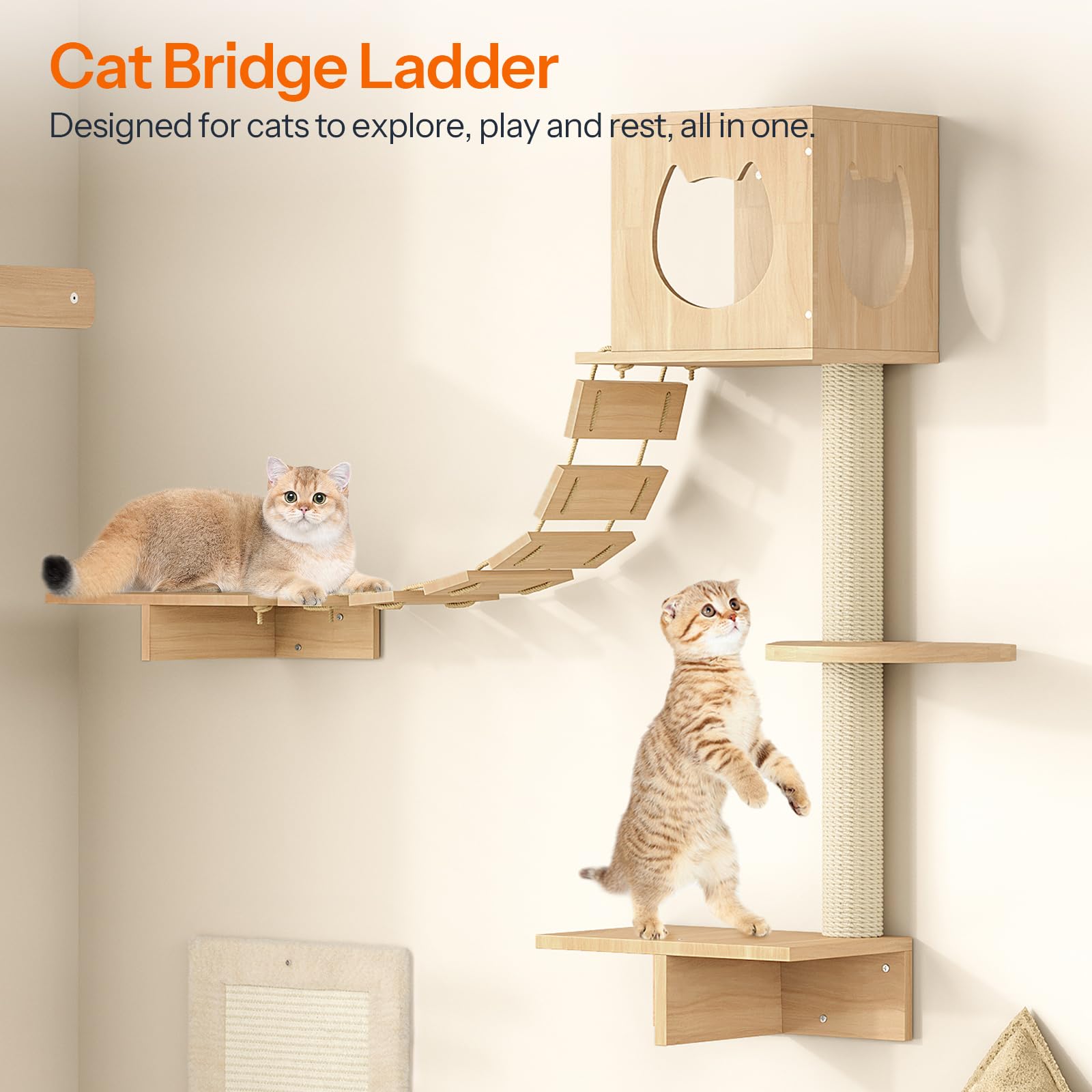 hoobro-pet-furniture-tag-res-murales-chat-bois-5-pi-ces-naturel image 5