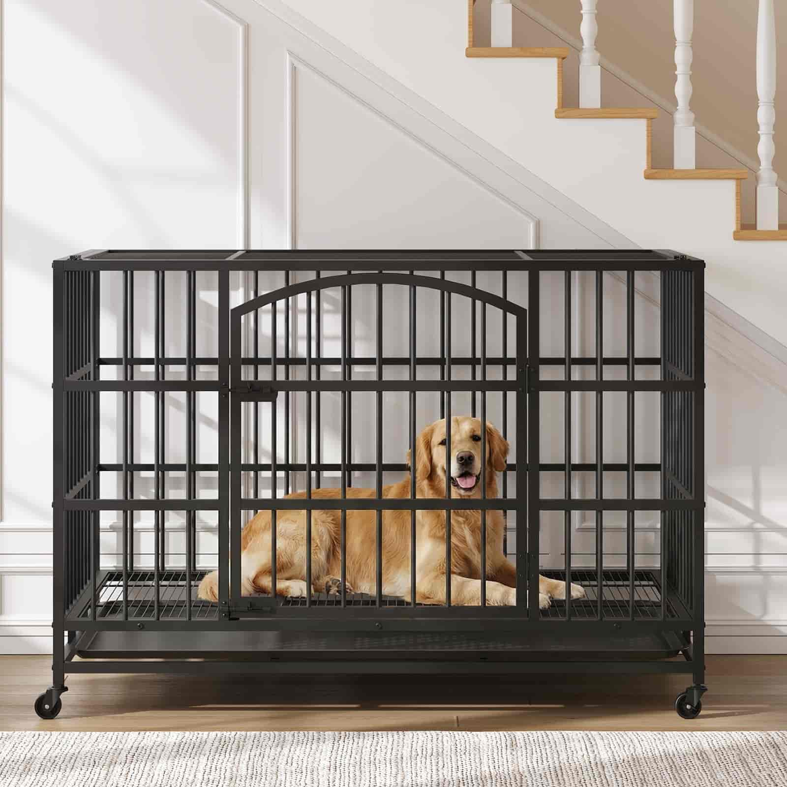 hoobro-cage-chien-48-pouces-noire-m-tal-roulettes image 5