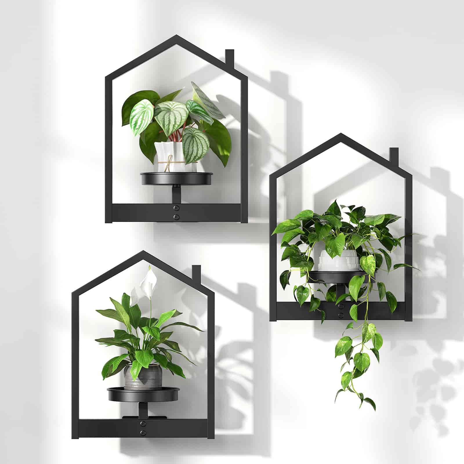 hoobro-tag-re-murale-plante-m-tal-noir-lot-de-3-maison image 6