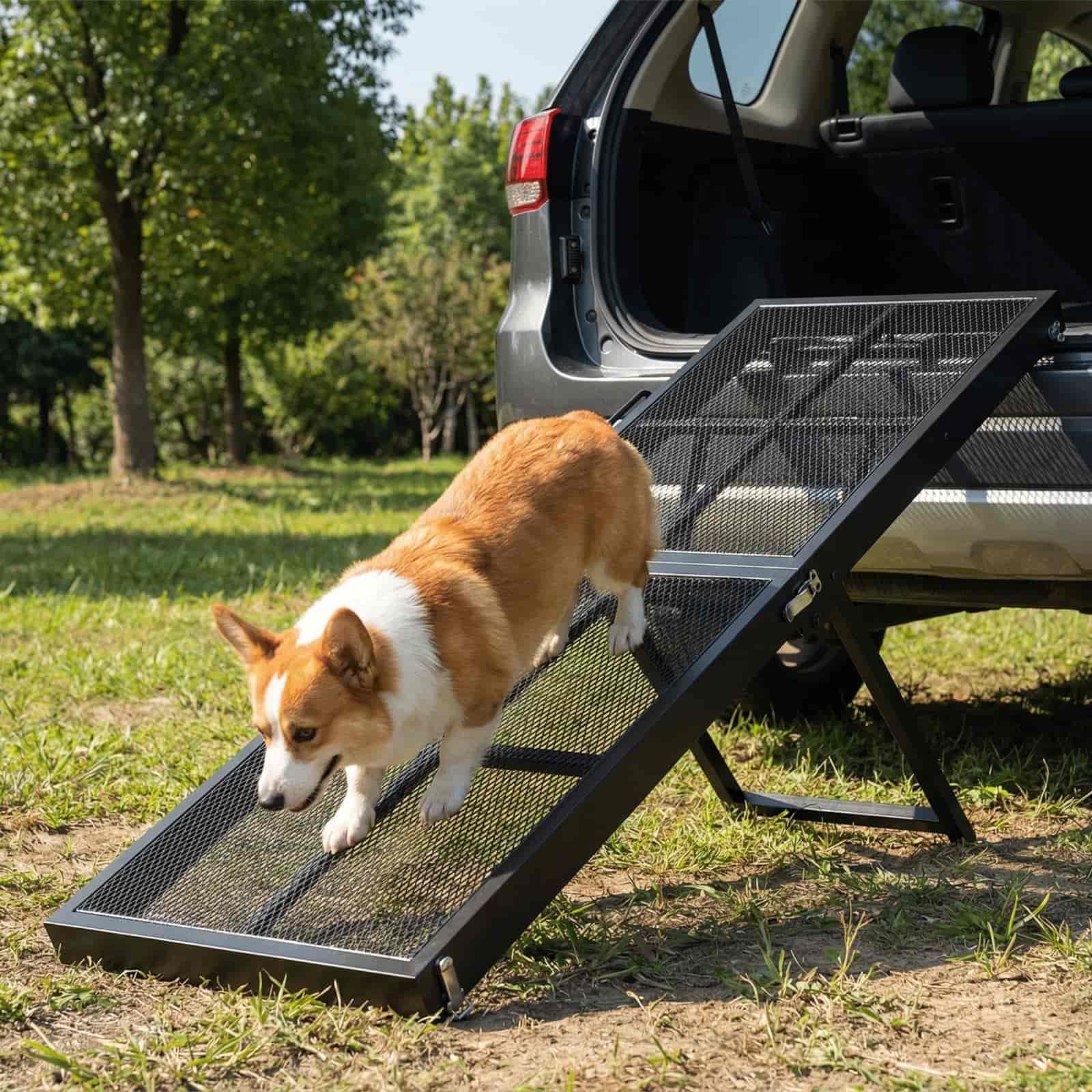 hoobro-rampe-pour-chien-noire-pliable-5-hauteurs-avec-poign-e image 7