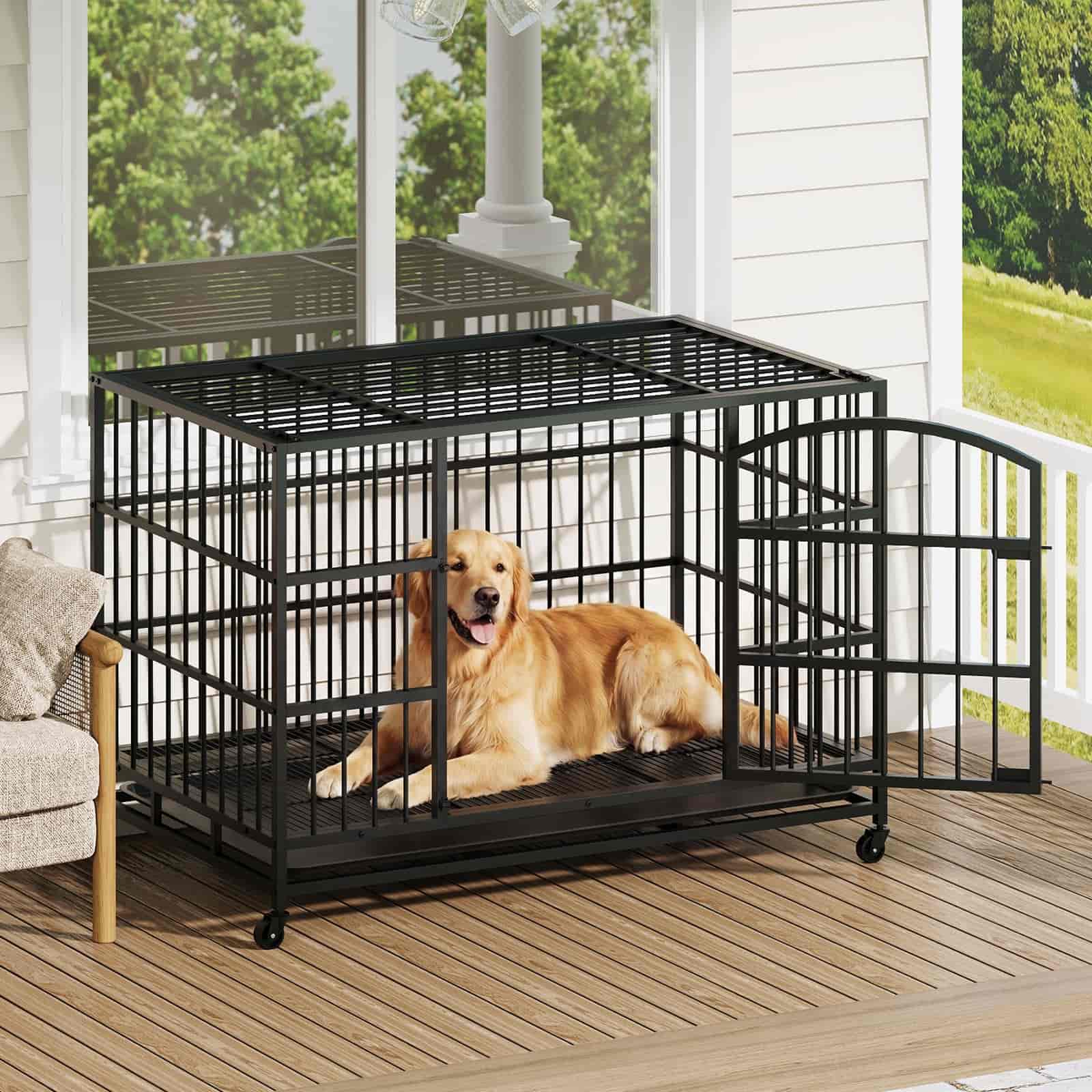 hoobro-cage-chien-48-pouces-noire-m-tal-roulettes image 2